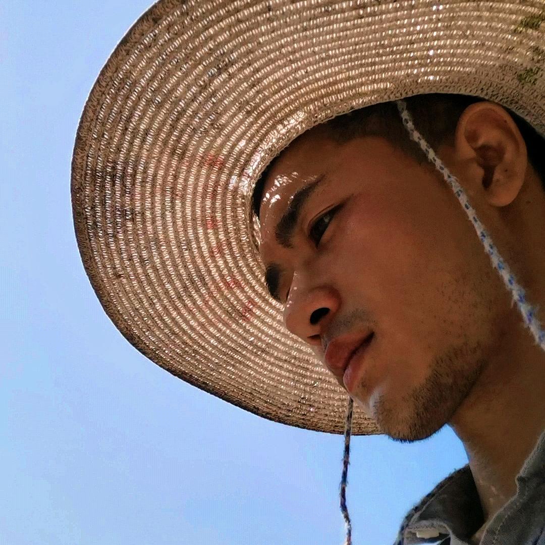 江西树先生