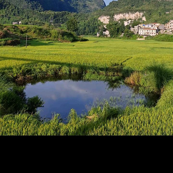 和你开开心心过好每一天