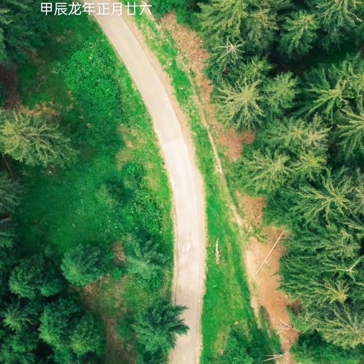 未来∴∴∴你好