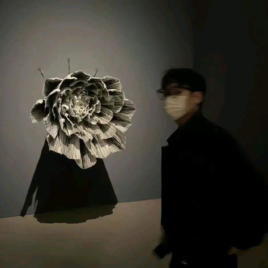 常青树