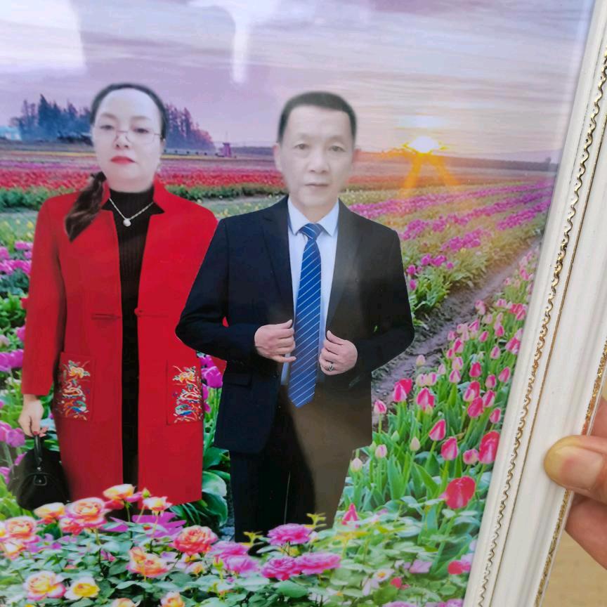 红中飞