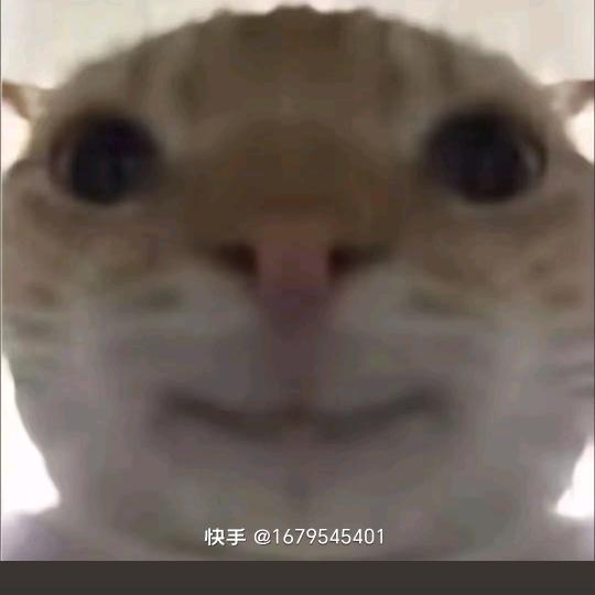 小老鼠打法