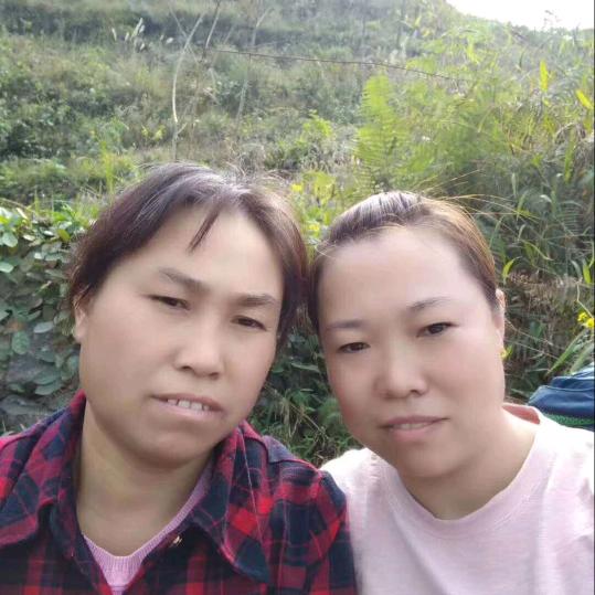 森屿