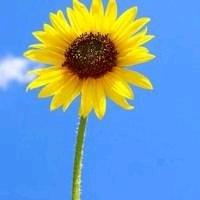 施奈邦家居生活馆