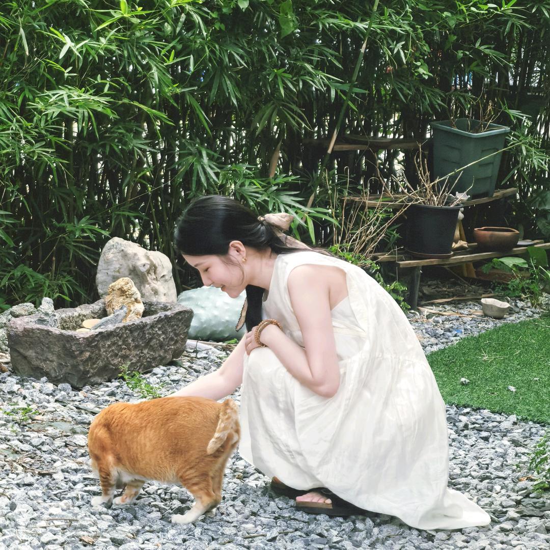 不吃糖