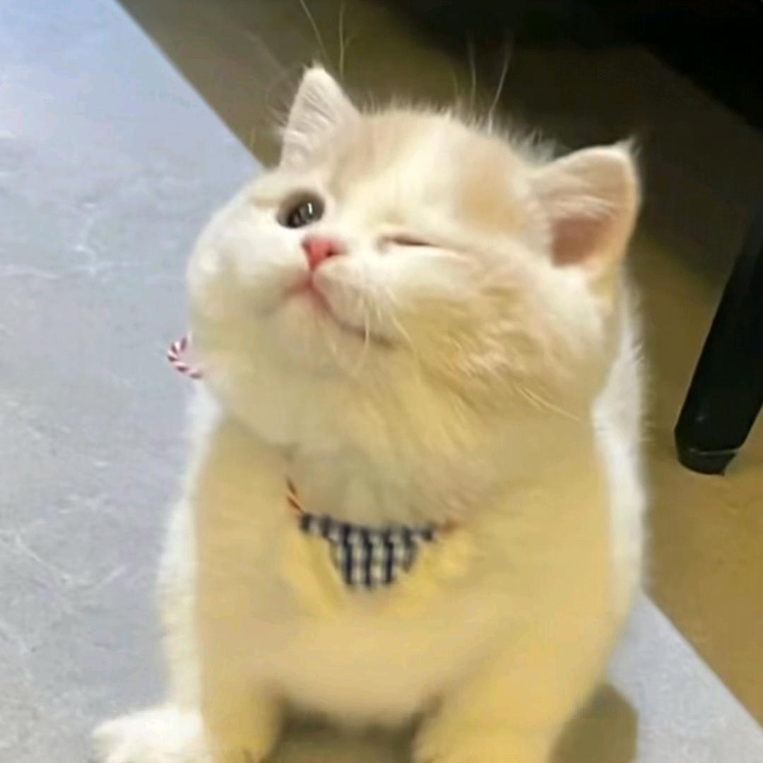 欧哈纳
