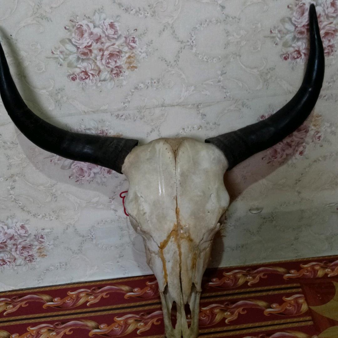 追疯