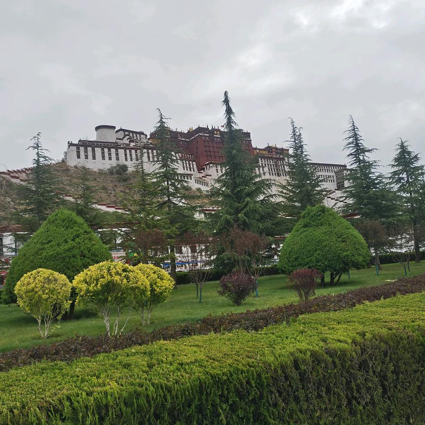 梦想仗剑走天涯