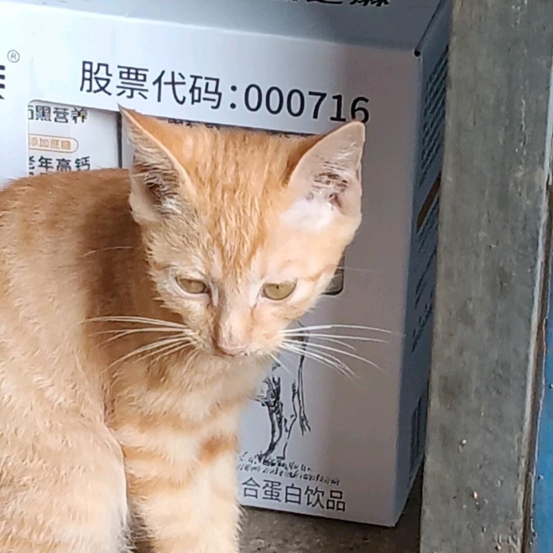 在老家的日子