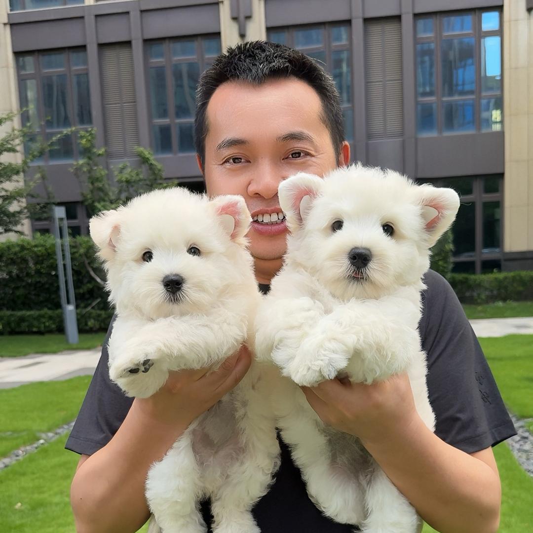 奈果宠物零售店