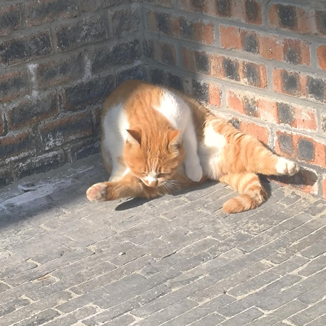一路向背