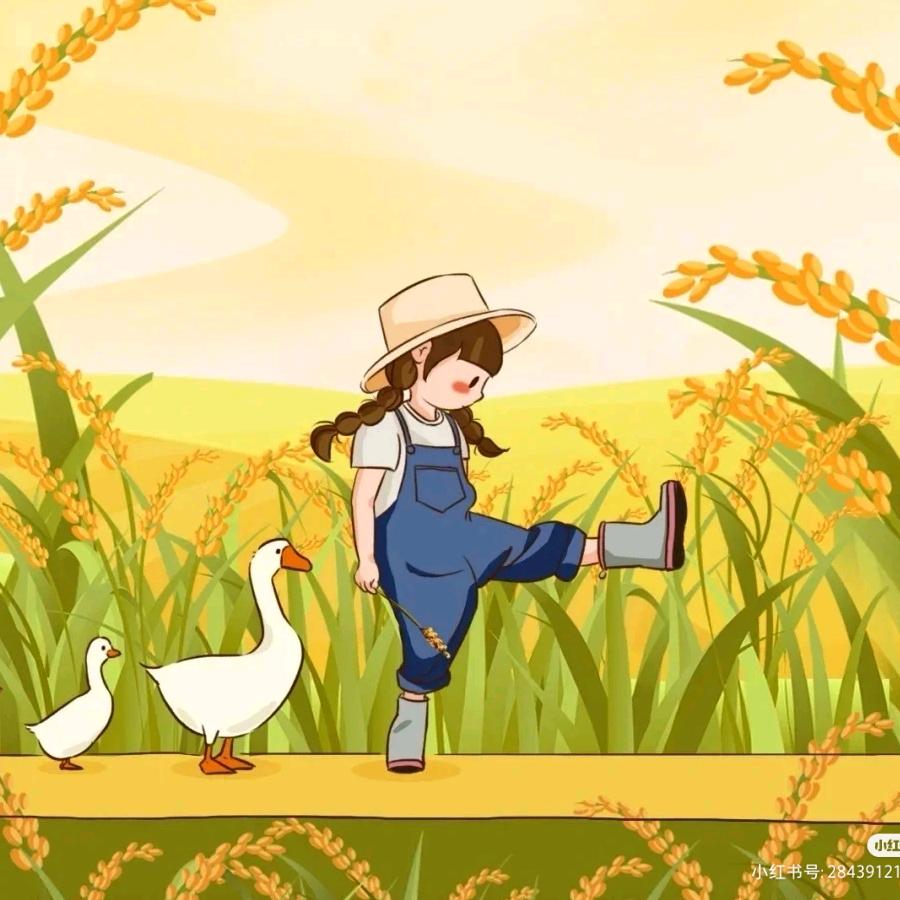 小柒爱吃爱玩爱睡觉