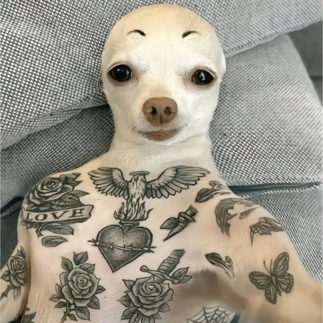 217