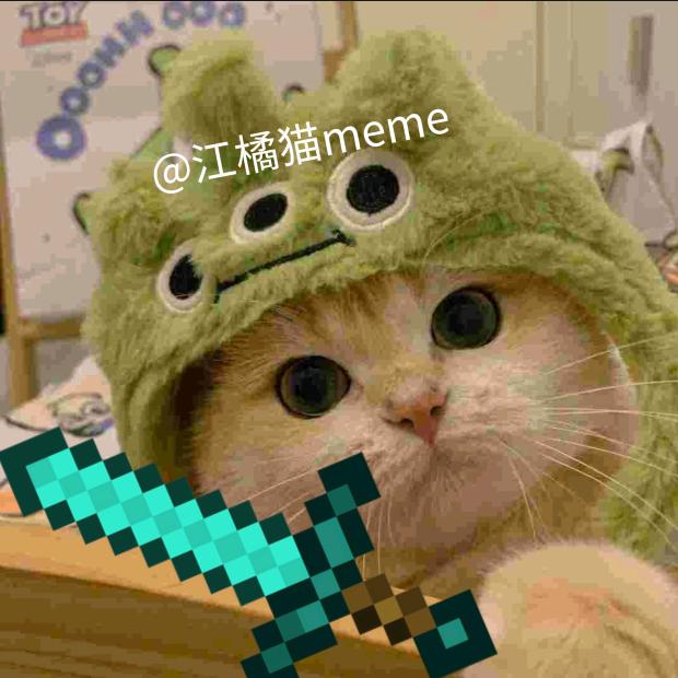 江橘猫meme