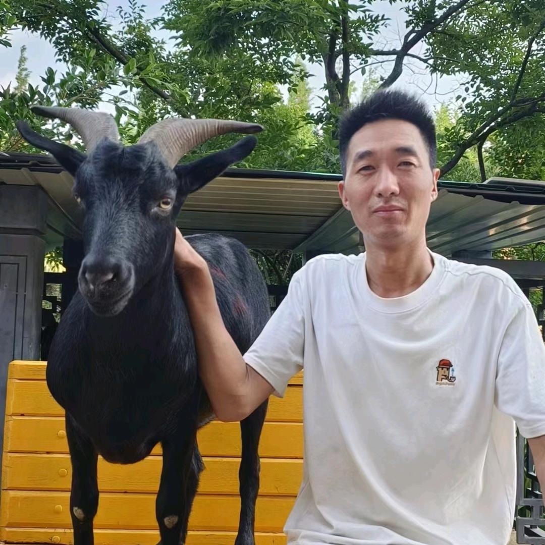 会泽火红黑山羊