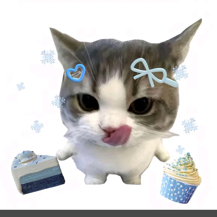 如意🐾