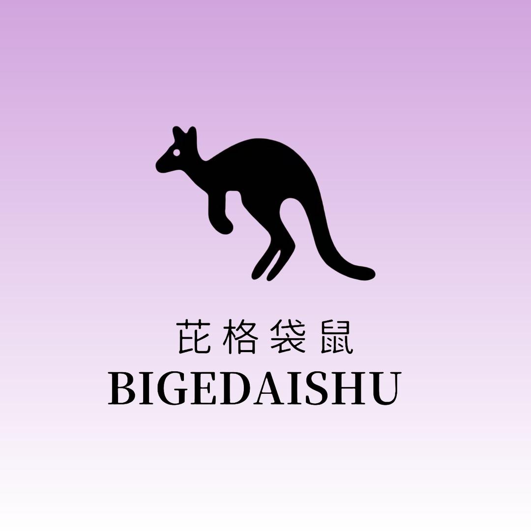 BIGEDAISHU品牌女包