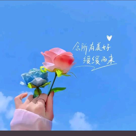 羽毛的风铃