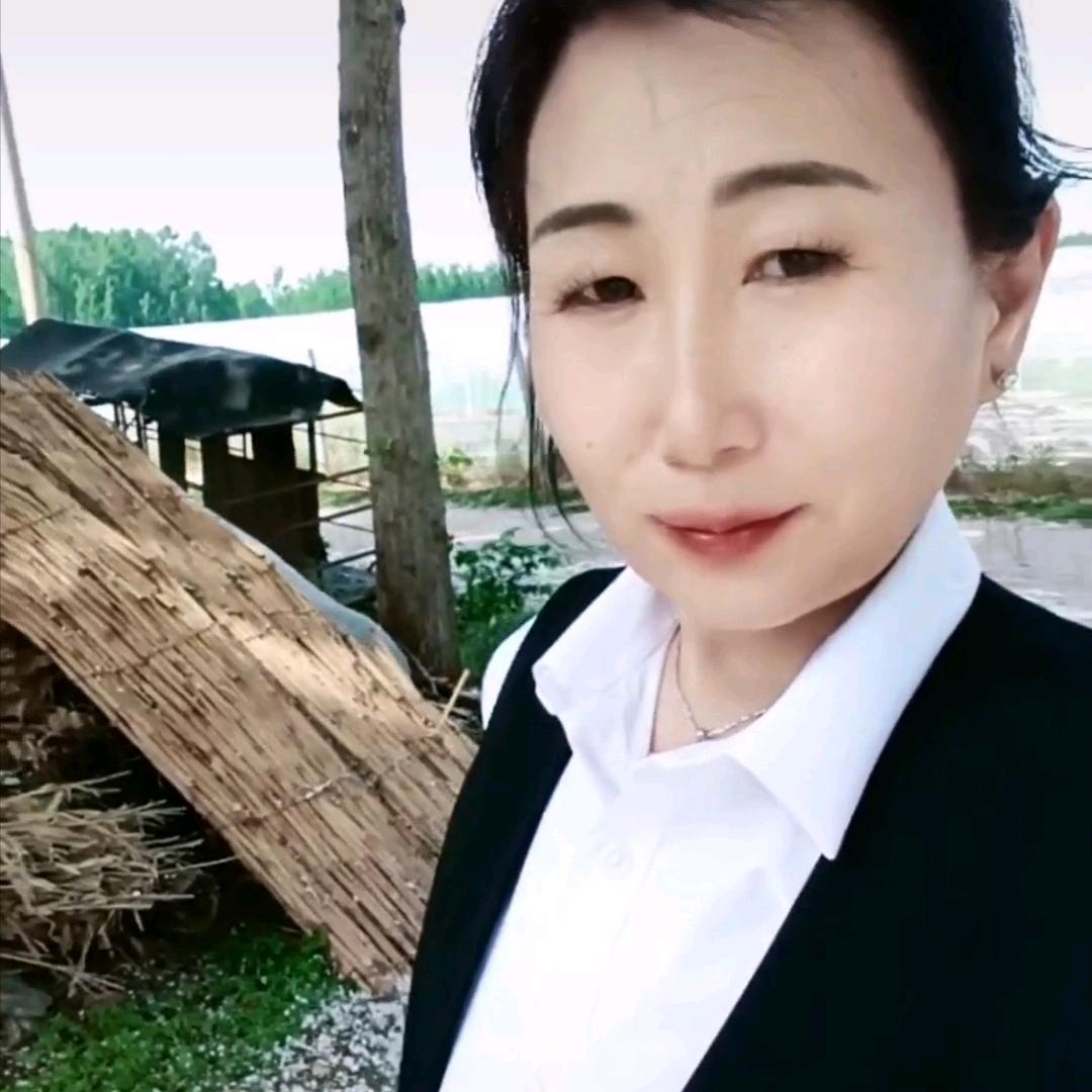花开爱无言