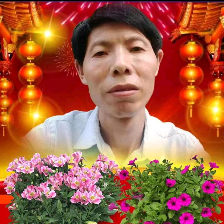 永不后悔👱穆哥