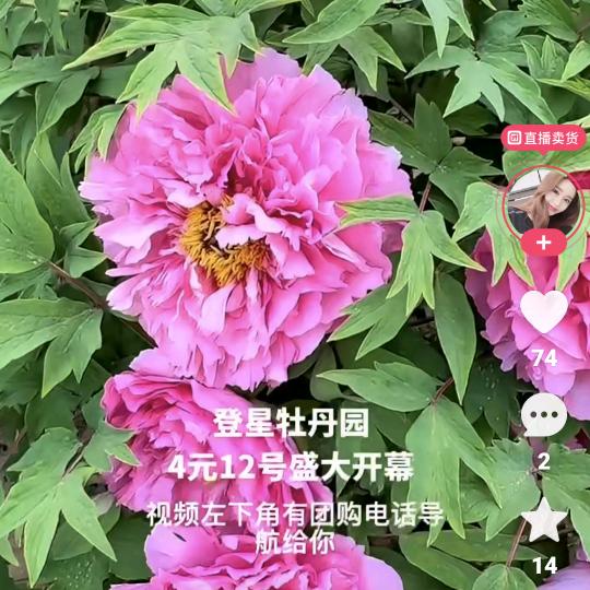 我喜欢接受你