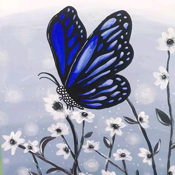 蓝蝶恋花✨