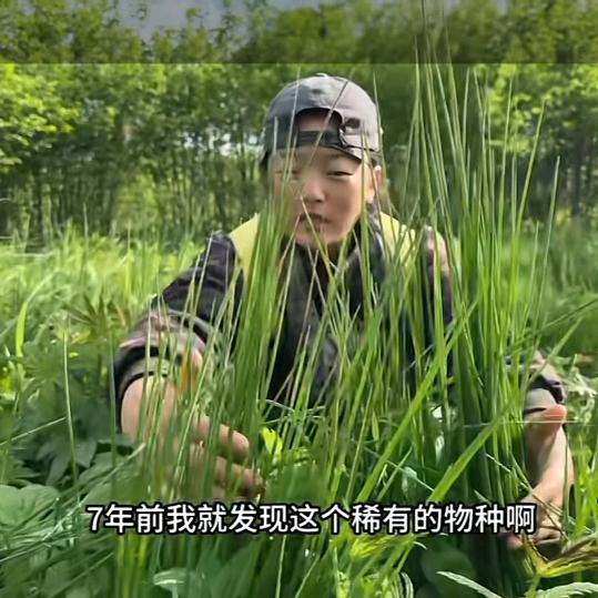 林区小财迷