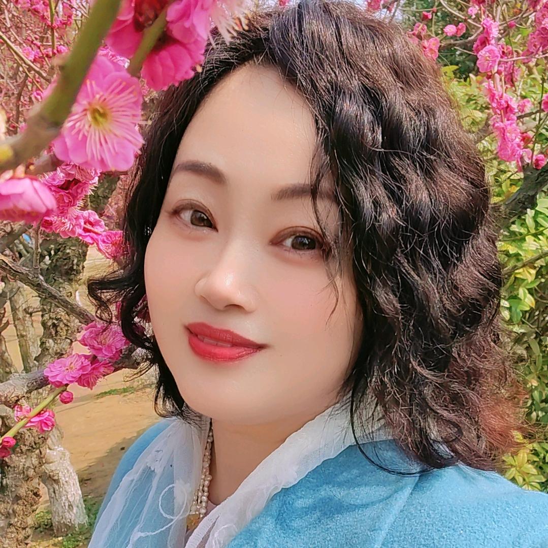 海棠花未眠