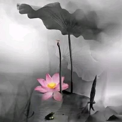 🌸岁月静好🌸