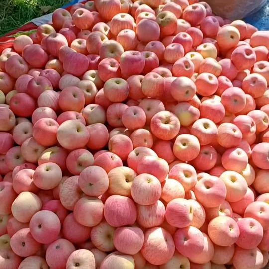 狼牙山土特产批发零售