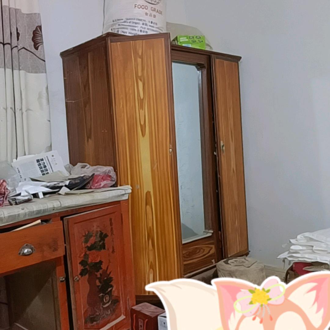老猫