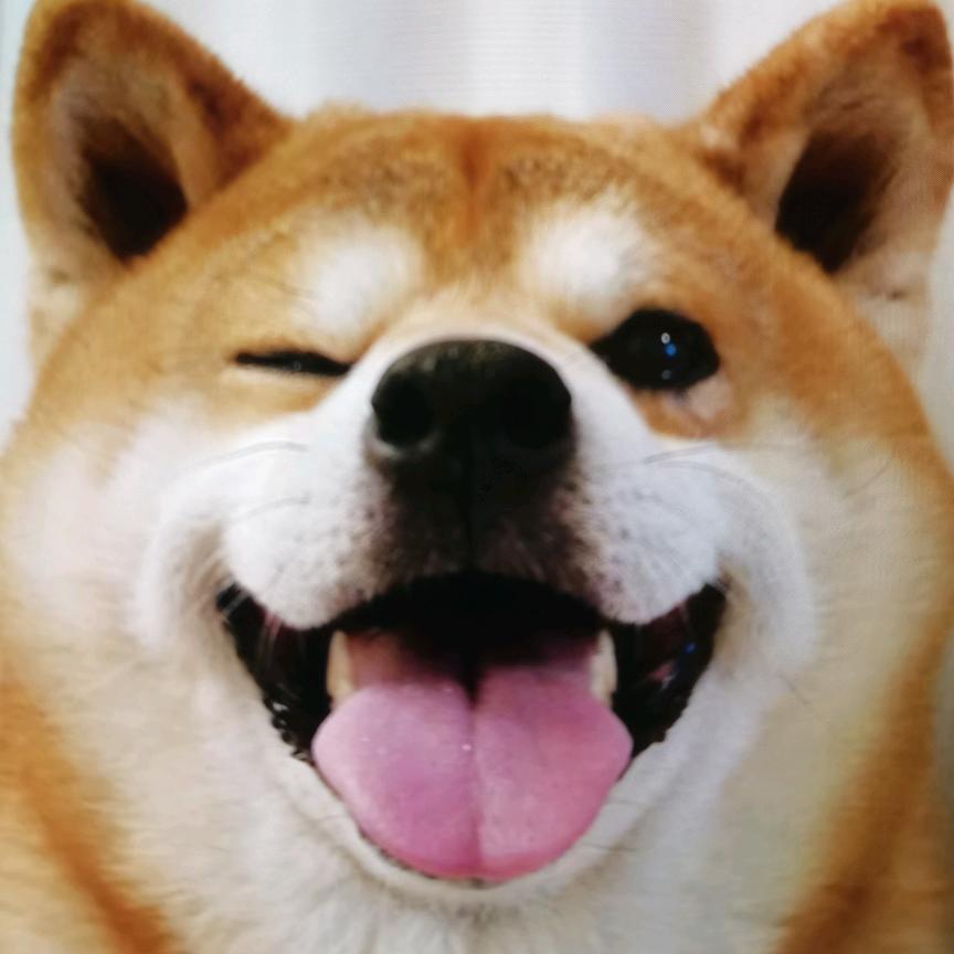 忧郁的美乐蒂