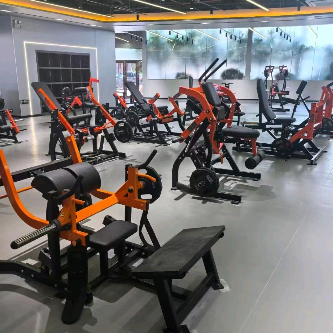 宁津鸿展健身器材源头厂家