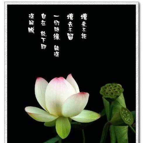 卍佛香缘，随缘卍