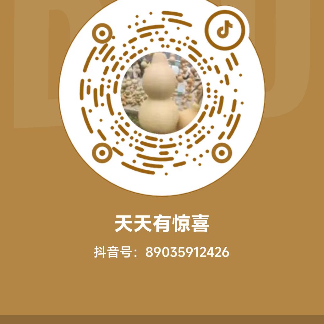 天天有惊喜