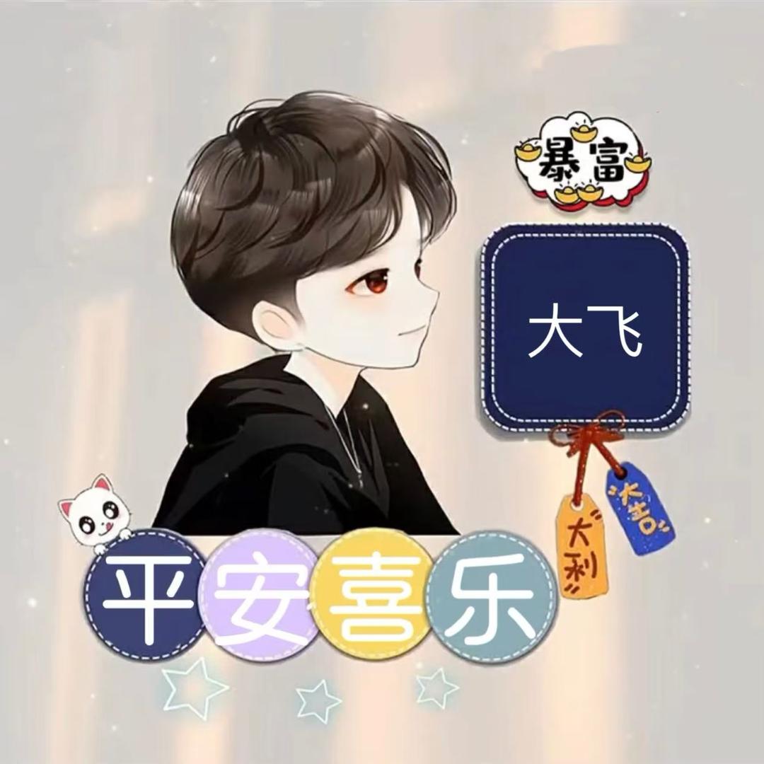 海南大飞