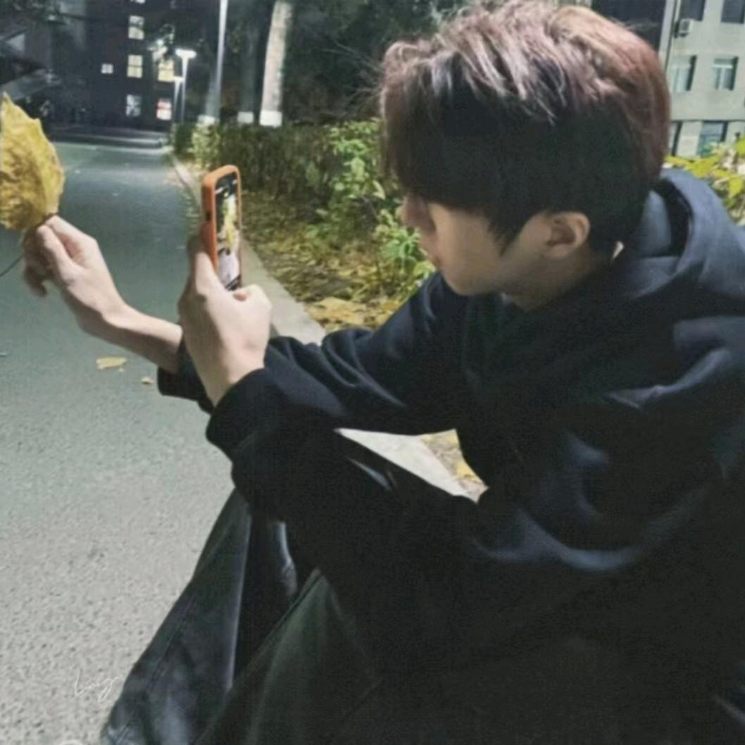 风吹散的蒲公英