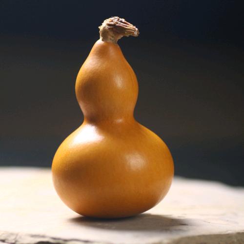 逐梦