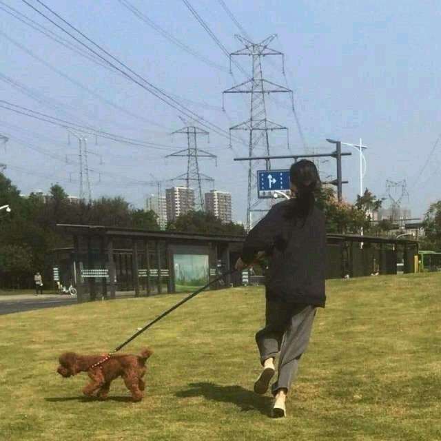 半颗大脑