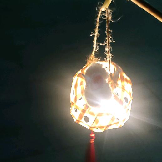 村口的老樟树