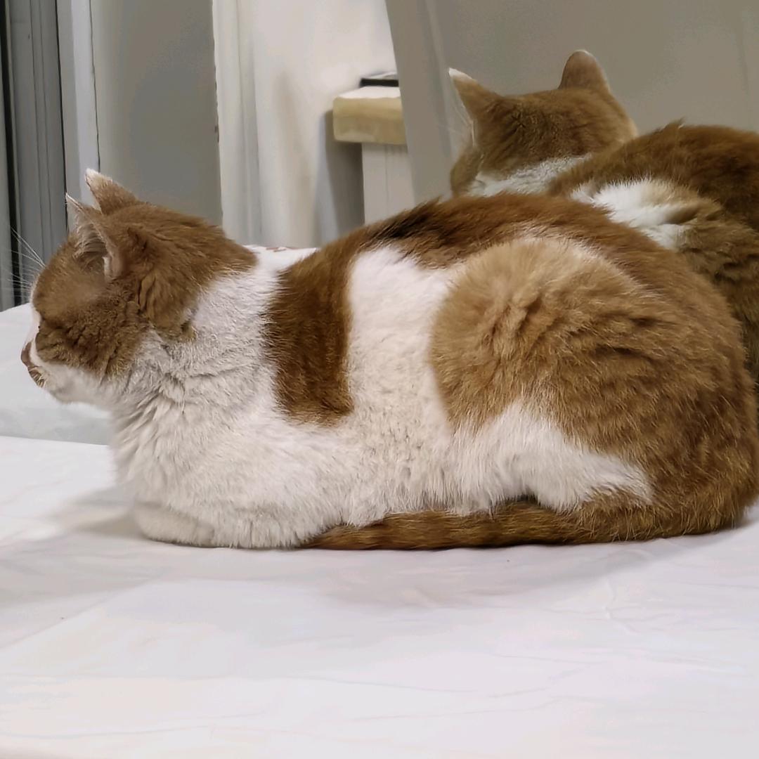 好玩具新生活
