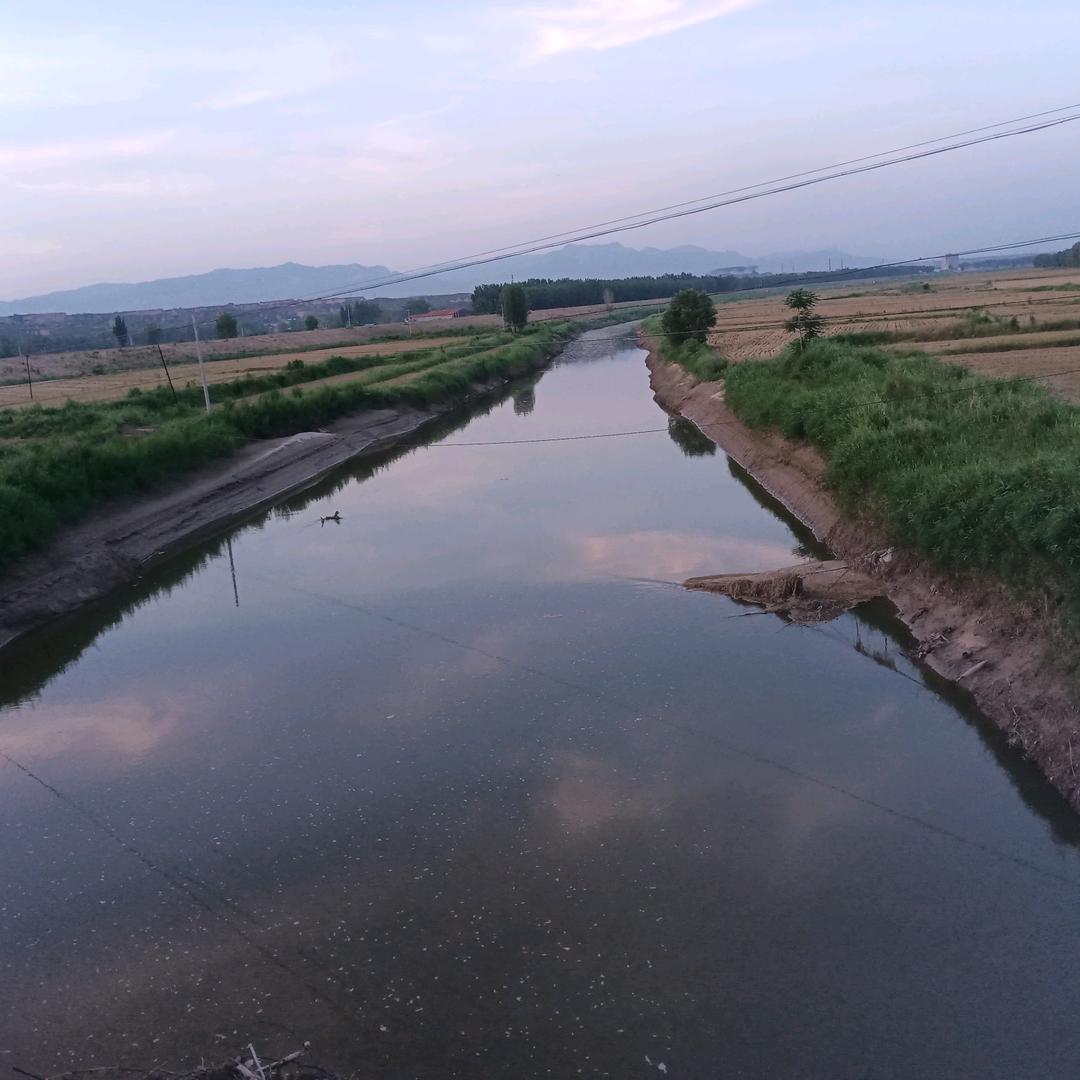 山羊开泰