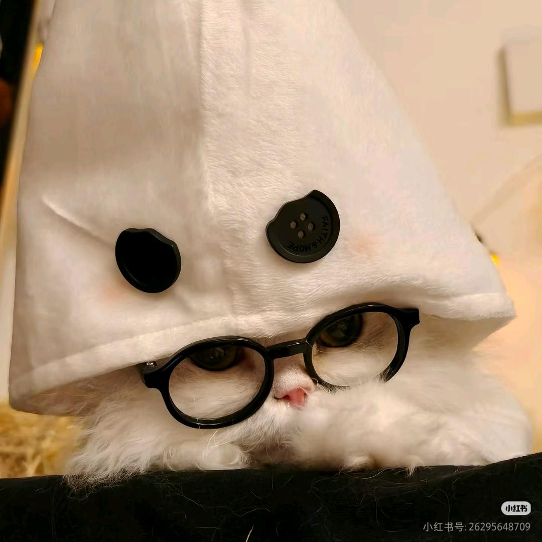 顾妤