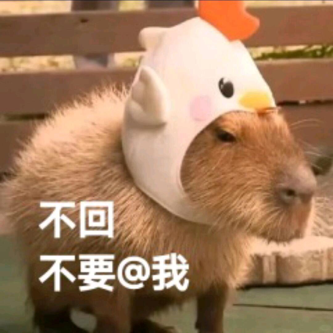 人工智障陈工