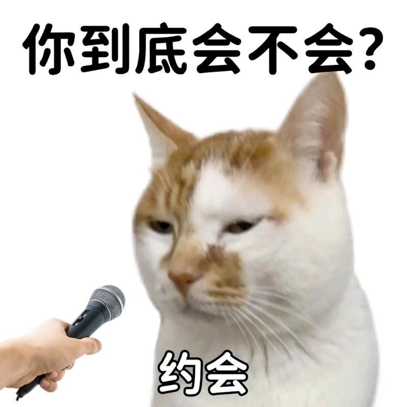 小脏猫me