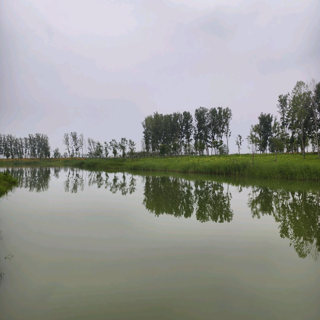 虚空美之恋