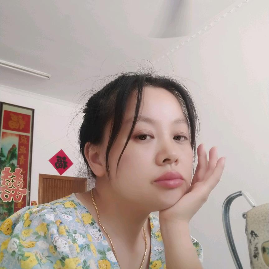 一束梨花压海棠Z|