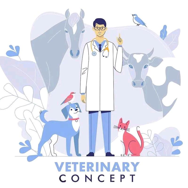 绥滨禽病兽医师-宋有