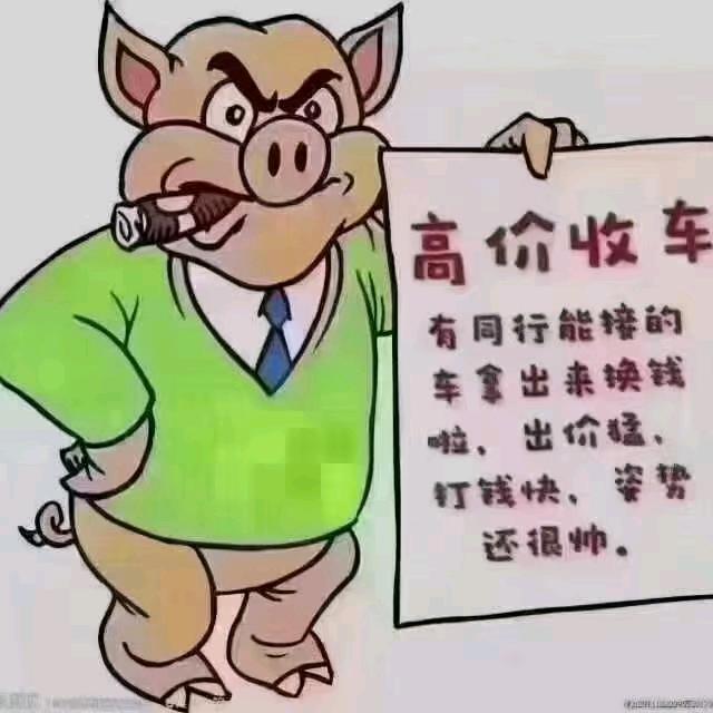 阜阳锤子车行（招销售）