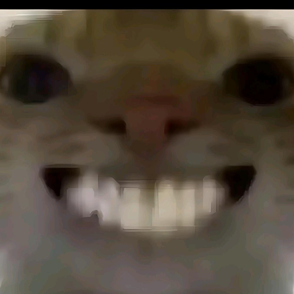丢丢丢丢